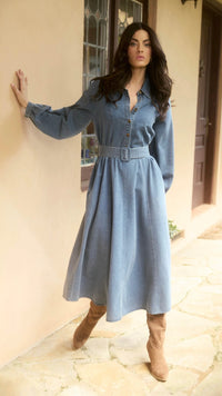 Freya Dress Denim