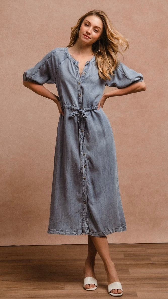 Austin Button Down Denim Dress