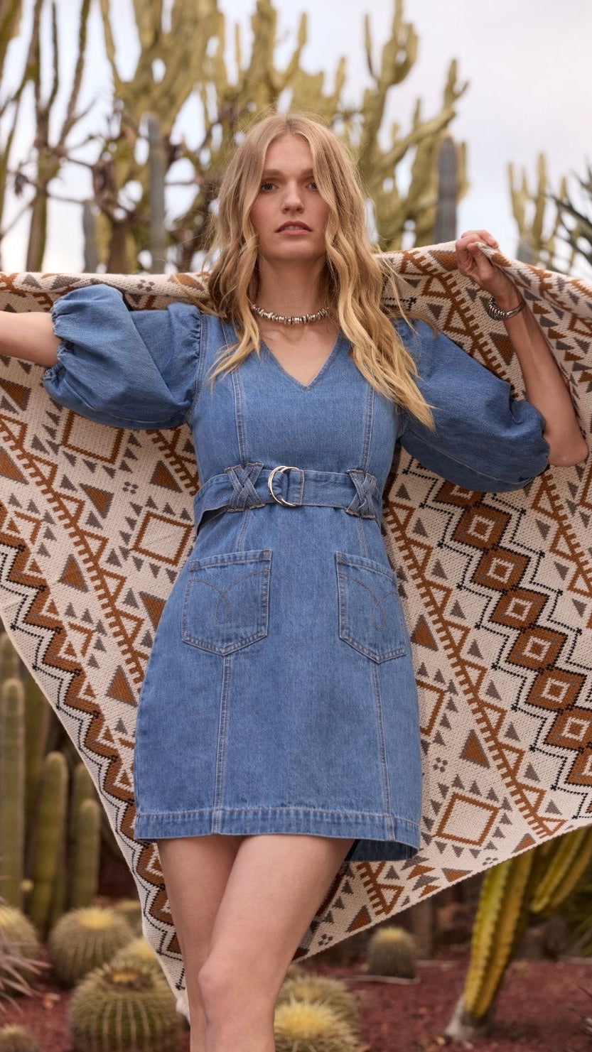 Peyton Denim Mini Dress The Rock Box Store
