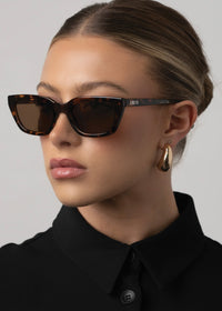 Otra Nove Tort / Brown