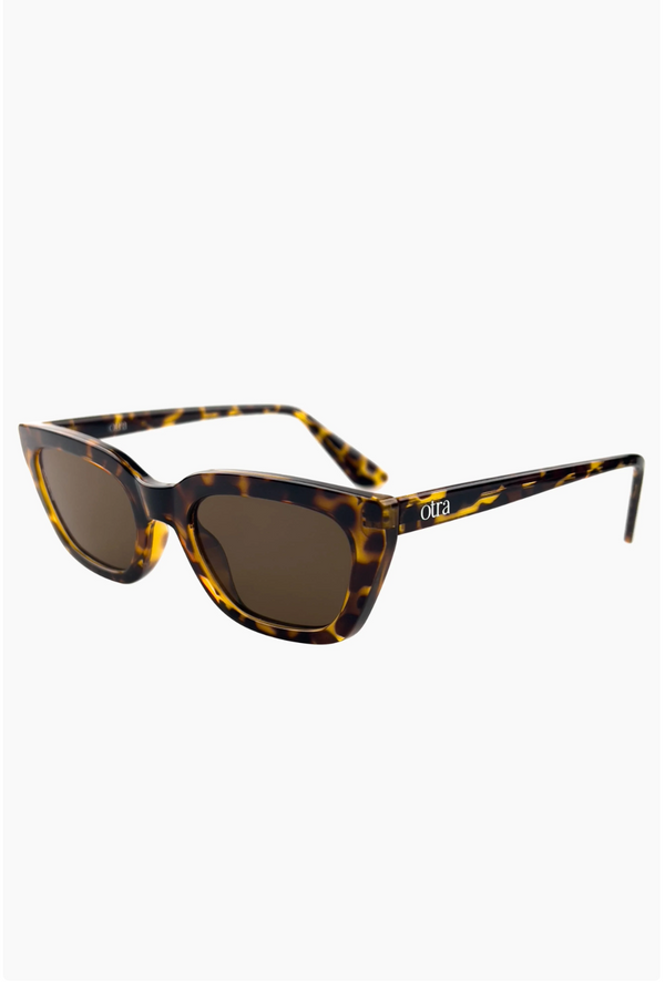 Otra Nove Tort / Brown