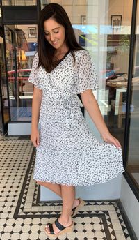 Tiered Feather Print Pleated Dress