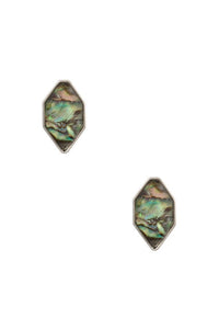 UBS013 Silver Abalone